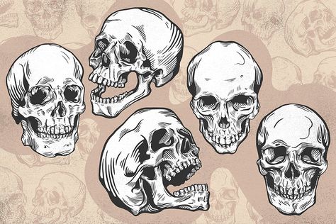 Business Newsletter Templates, Computer Logo, Super Human, Skull Logo, Skull Illustration, Human Skull, Tattoos Gallery, Colorful Drawings, Skull Art