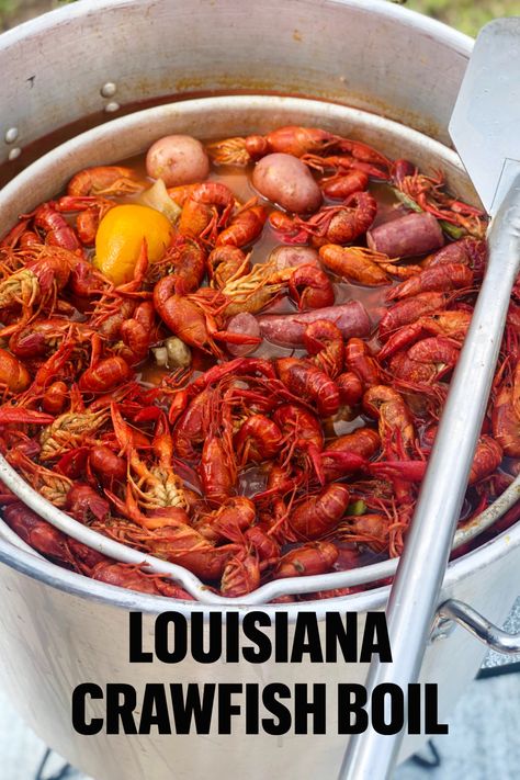 Have you ever boiled your own crawfish? It's not as difficult as you may think. We tell you how step by step! Check it out on PontchartrainKitchen.com #crawfish #louisiana #crawfishboil #louisianasaturdaynight #boiledcrawfish #louisianacrawfish Louisiana Crawfish Boil, Crawfish Crab And Shrimp Boil, Seafood Boil Crawfish, How To Cook Crawfish Boil, Cajun Crawfish Boil, Boiled Crawfish Recipes Louisiana, Shrimp And Crawfish Boil, Louisiana Seafood Boil Recipe, Best Crawfish Boil Recipe