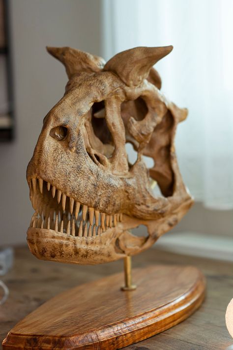 Handmade Carnotaurus Sastrei Skull is a replica of the only Carnotaurus skeleton that unearthed in 1984 by an expedition led by Argentinian paleontologist José Bonaparte. This replica has made out of PLA, Brass, Chestnut wood and Acrylic paint. A great gift for valentine's day. In addition to being a great gift for children who are interested in dinosaurs, it is also a masterpiece that can be used for educational purpose. Or if you are looking for a great decor for your office? Carnotaurus it is. Overall dimensions of the replica are 440mm width and 340mm height. This is the 1/4 size of the real skeleton that has been unearthed by paleontologists. There are 3 color options for now, feel free to send us a message if you want to have your own picks on the coloring. Carnotaurus was a large bu Dinosaur Fossil Decor, Carnotaurus Skeleton, Carnotaurus Skull, Dino Skull, Real Skeleton, Dino Decor, Dinosaur Skull, Chestnut Wood, Art Articles