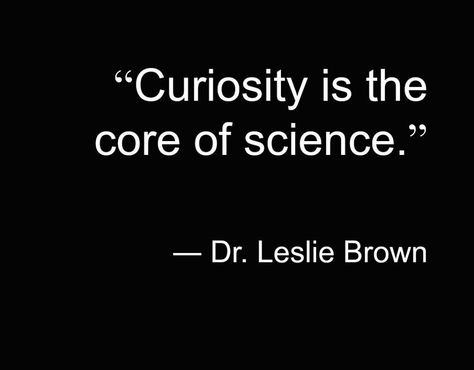 Scientific Quote, Physics Quotes, Cosmic Quotes, Scientist Quote, Curiosity Quotes, Chemistry Quotes, Science Lessons Middle School, Creepy Quotes, Words Of Appreciation