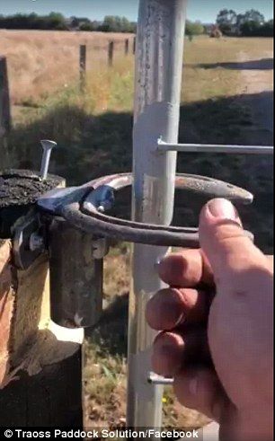 Ingenious replacement for a gate latch sets the internet alight Gate Latch Ideas, Farm Fence Gate, Cattle Gate, Cattle Corrals, Ranch Gates, Gate Locks, Farm Pictures, Horse Fencing, Farm Gate