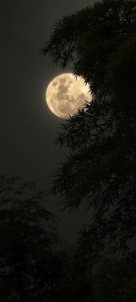 Pictures For Room Aesthetic, Full Moon Background Wallpapers, Full Moon Wallpaper Aesthetic, Night Collage Aesthetic, Moon Homescreen Wallpaper, Aesthetic Wallpaper Iphone Moon, Moon Asthetic Wallpers Hd, Asthetic Picture Wallpaper Dark Iphone, Full Moon Aesthetic Wallpaper