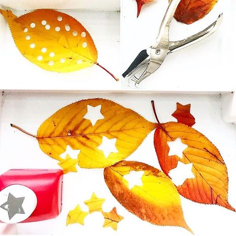 Anna - The Imagination Tree on Instagram: “LEAF HOLE PUNCH CONFETTI . 🍁 . Re-sharing an old favourite leaf activity for Autumn (actually works well in spring and summer too of…” Leaf Hole Punch, Hole Punch Leaves, November Montessori, Reggio Provocations, Leaf Activity, Leaves Confetti, Playful Parenting, Leaf Confetti, Funky Fingers