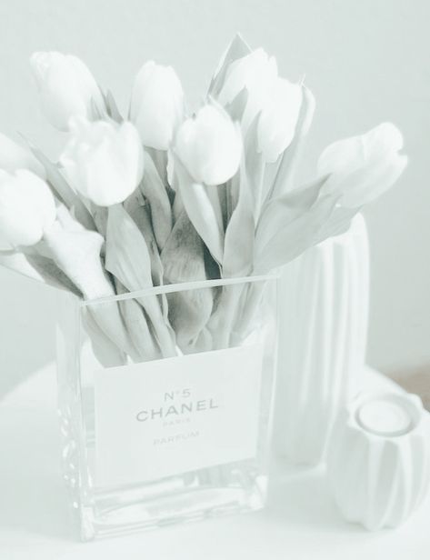 Pure White Aesthetic, White Vibe, Dorm Walls, Artist Aesthetic, White Swan, Luxury Aesthetic, Wallpaper Pictures, Colour Board, White Image