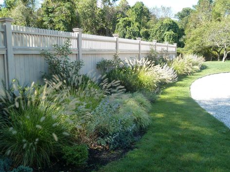 Fence Shrubs, Privacy Fence Landscaping, Landscaping Along Fence, Fence Plants, Hgtv Garden, Ornamental Grass, White Fence, Backyard Privacy, Garden Area