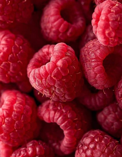 Fresh Fruit, Raspberry, Fruit, Photography