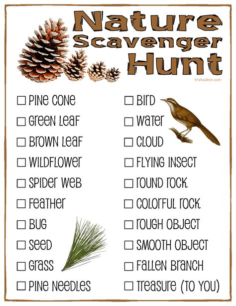 Nature Scavenger Hunt; Campers, Camping & Camp Retreats! Free Printable for kids. Nature Scavenger Hunt, Scavenger Hunt For Kids, Scout Camping, Scavenger Hunts, Camping Games, Camping Theme, Camping Activities, Camping Fun, Camping Crafts