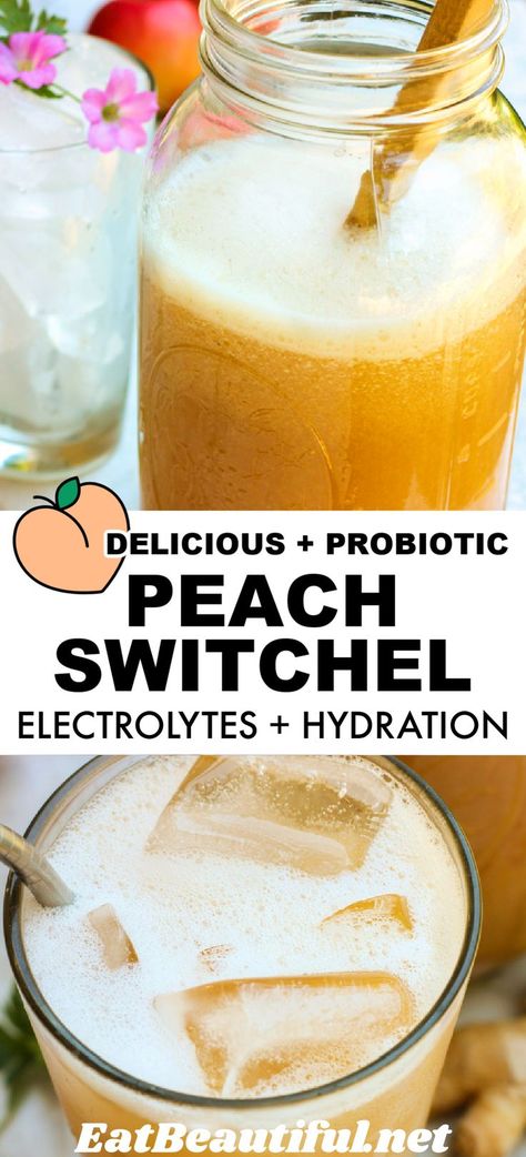 Keto Electrolyte Drink Recipe, Fermented Drinks Recipes, Switchel Drink Recipe, Herbalist Kitchen, Aip Drinks, Fermentation Station, Electrolyte Drink Recipe, Switchel Recipe, Nonalcoholic Drink