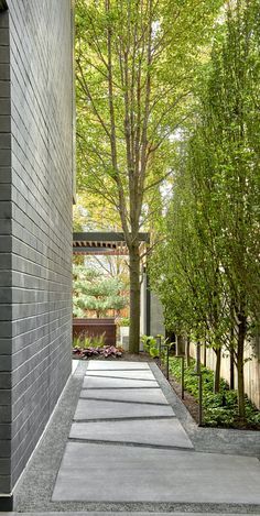 Zinc House, Drought Tolerant Landscape, التصميم الخارجي للمنزل, Outdoor Gardens Design, Landscaping Design, House Landscape, Backyard Landscaping Designs, Backyard Design, Outdoor Design