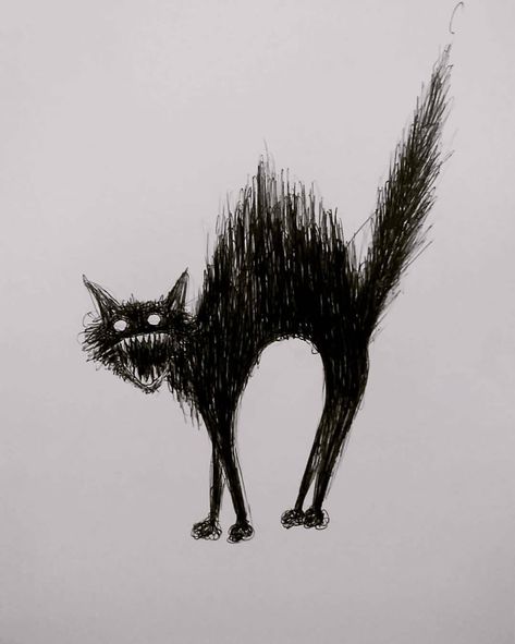 Scary Ink Drawings, Scary Cat Drawing, Scared Cat Drawing, Goth Sketches, Scary Doodles, Scary Paintings, Witch Drawing, Scary Drawings, Weird Drawings