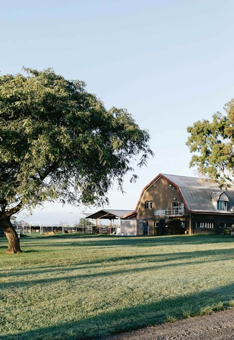 The barn at Summer Land Camel Farm is home to the milk and skincare manufacturing room as well as the office | Photography: Marnie Hawson Office Photography, Milk Products, Farm Lifestyle, Future Farms, Ranch Life, Farms Living, Dairy Farms, Home Inspo, Horse Farms