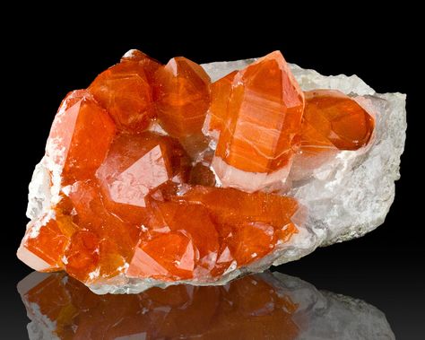 2.5" Gemmy Cardinal RED QUARTZ Crystal Group Orange River South Africa for sale - $525 Rock Collecting, Earth Gift, Geology Rocks, Red Quartz, Beautiful Crystals, Clear Thinking, Fine Minerals, Rock Collection, Rock Stars