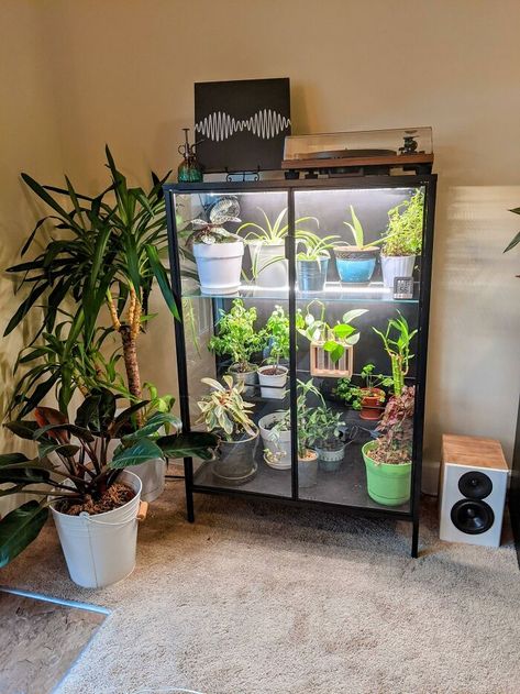 Rudsta Greenhouse Cabinet Greenhouse Ikea, Diy Indoor Greenhouse, Greenhouse Cabinet, Armoire Ikea, Kallax Shelving, Ceiling Shelves, Ikea Inspiration, Ikea Kallax Hack, Indoor Greenhouse