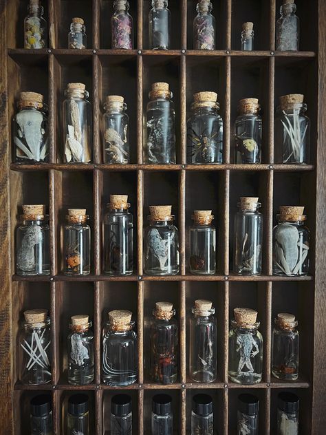 Witch Cabinet, Curio Cabinet Decor, Apothecary Jars Decor, Apothecary Decor, Animal Taxidermy, Cabinet Of Curiosity, Wet Specimen, Black Tissue Paper, Witch Shop