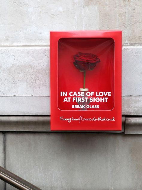 Flower Council of Holland: In case of love at first sight, break glass 광고 디자인, Fina Ord, Publicidad Creativa, Guerilla Marketing, Naha, Creative Ads, Love At First, Creative Advertising, Design Thinking