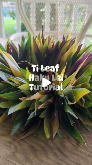 Ho'olei on Instagram: "General rule of thumb.... You always need more ti leaf than you expect. Aaaaaand this lei may cause backaches and fingers cramps, but she's worth it 😍😍😍  #hakulei #tileaflei #tileafhakulei #lei #tileaf #makelei #hoolei #givelei.#normalizelei #maui #aloha" Flower Lei Diy, Diy Lei, Ti Leaf Lei, Lei Diy, Grad Leis, Diy Macrame Plant Hanger Tutorials, Money Lei Diy, Lei Ideas, Tahitian Costumes