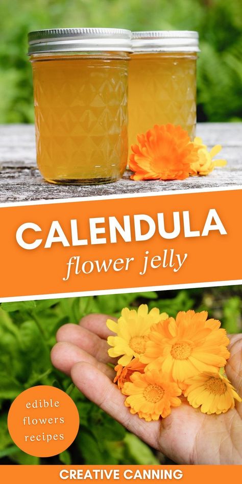 Calendula Recipes Food, Flower Jelly Recipes, Calendula Recipes, Homemade Jelly Recipe, Clover Jelly, Herbal Business, Fruit Jelly Recipe, Floral Jelly, Flowers Recipes