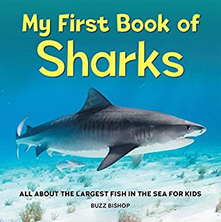 My First Book of Emotions for Toddlers: Kerek MD, Orlena, Hartmann, April: 9781685390747: Amazon.com: Books Shark Books, Types Of Sharks, All About Sharks, Shark Facts, Fish In The Sea, Curious Kids, Kids Exploring, Beneath The Surface, Children Images