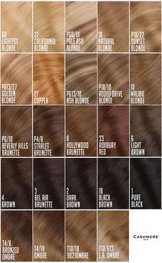 Brown Hair Color Chart, Hair Chart, Hair Lights, Cashmere Hair, Different Shades Of Brown, Brown Hair Shades, Red Things, Colored Hair Extensions, Fesyen Rambut