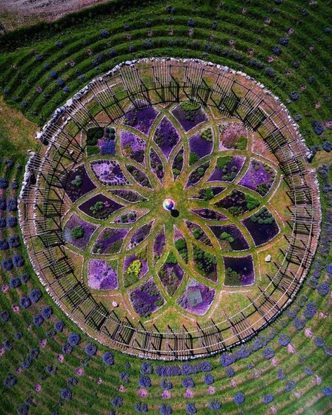 Circular Garden, Labyrinth Garden, Sacred Garden, Desain Lanskap, Permaculture Design, Garden Design Plans, Vegetable Garden Design, Community Gardening, Gorgeous Gardens