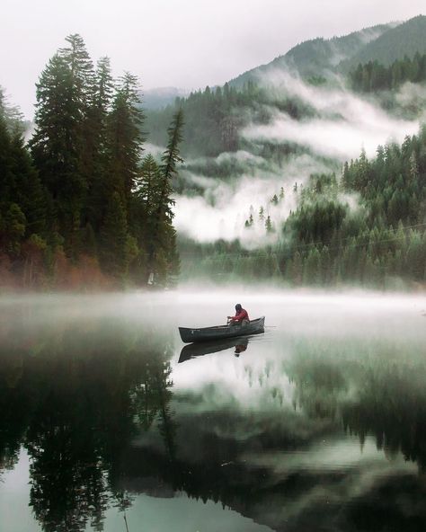 ���🇺🇸 Moody and misty (Washington) by Karl ‘Shakur’ N. (@karl_shakur) on Instagram 🌲🌫 Landscape Photography Tips, Adventure Photography, Amazing Nature, Anton, Beautiful World, Beautiful Landscapes, Photography Tips, Outdoors Adventure, The Great Outdoors