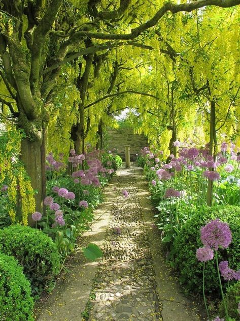 Gardening - Better Homes and Gardens Reka Bentuk Landskap, Plantarea Legumelor, Trees And Flowers, तितली वॉलपेपर, Garden Walkway, Have Inspiration, Garden Pictures, Garden Pathway, Gorgeous Gardens