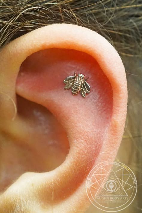 Flat Piercing Placement, Bee Tattoo Ear, Gold Flat Piercing, Flat Ear Piercing Jewelry, Flat Piercing Aesthetic, Ear Piercings For Small Ears, Flat Piercing Ears, Ear Piercings Flat, Bee Piercing