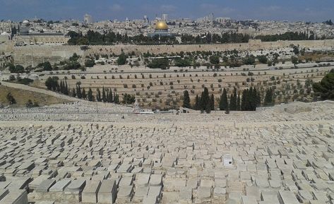 MOUNT OF OLIVES - Jesus' Prayer, Prophecy & Ascension Garden Of Gethsemane, Explore China, Mount Of Olives, Be With You Movie, Jesus Prayer, Sacred Places, Portugal Travel, Holy Land, History Facts