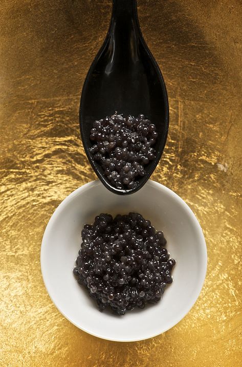 Beluga Sturgeon, Types Of Caviar, Beluga Caviar, Caviar Spoon, Caviar Recipes, Black Food, Specialty Foods, Vitamin B12, International Recipes