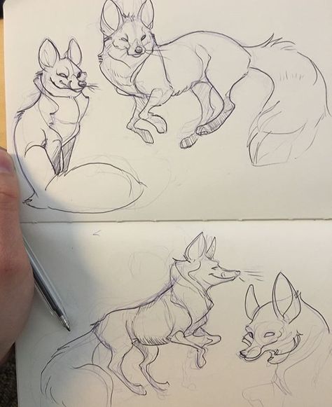 @jnievesdelgado Sc:joycenieves Insta: joyce_nieves Ideas For Drawing, Realistic Sketch, Fox Drawing, Animal Study, Fox Art, Animal Sketches, Creature Design, Creature Art, Art Reference Poses