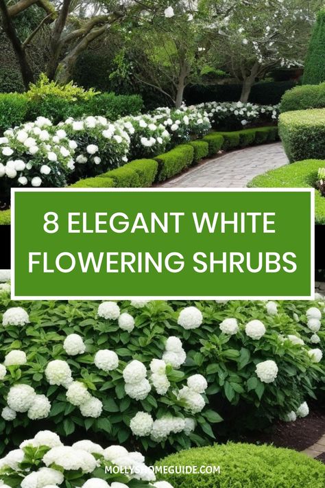 Discover the beauty of white flowering shrubs with our curated collection. From must-have favorites to fast-growing varieties, these high-impact bushes with pretty white flowers are perfect for creating stunning hedges or adding fragrance to your garden. Explore top options like Mock Orange shrubs, Summer Snowflake Viburnum, and Deutzia Nikko for a touch of elegance. White Flower Shrubs, White Flowers Front Yard, Chinese Snowball Viburnum, White Azaleas Landscape, Deutzia Nikko, White Flower Bush, Viburnum Hedge, Mock Orange Bush, White Perennial Flowers