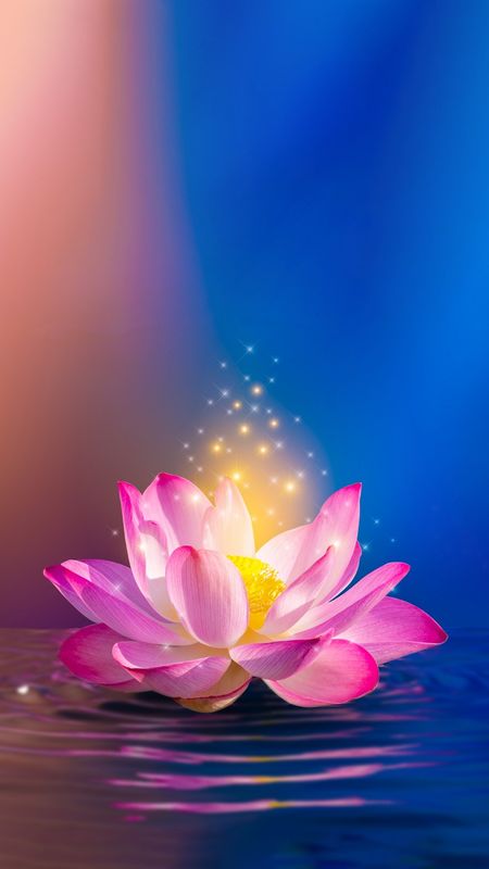 Pink Lotus Wallpaper, Lotus Flower Wallpaper, Lotus Wallpaper, Buddha Painting Canvas, Lotus Flower Pictures, Lotus Flower Art, Floral Cards Design, Lotus Art, Iphone Wallpaper Hipster