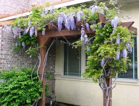 25 Vertical Landscaping Ideas Adding Spectacular Centerpieces to Backyard Designs Garden Flower Beds, Backyard Paradise, Pergola Kits, Diy Pergola, Backyard Garden Design, Public Garden, Pergola Designs, Backyard Makeover, English Garden