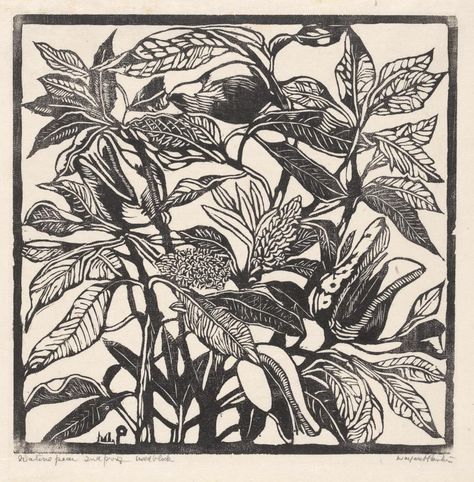 Native pear, Margaret Preston Margaret Preston, Margaret Rose, Relief Printing, Art Et Illustration, Wood Engraving, Print Inspiration, Australian Art, 2d Art, Monoprint