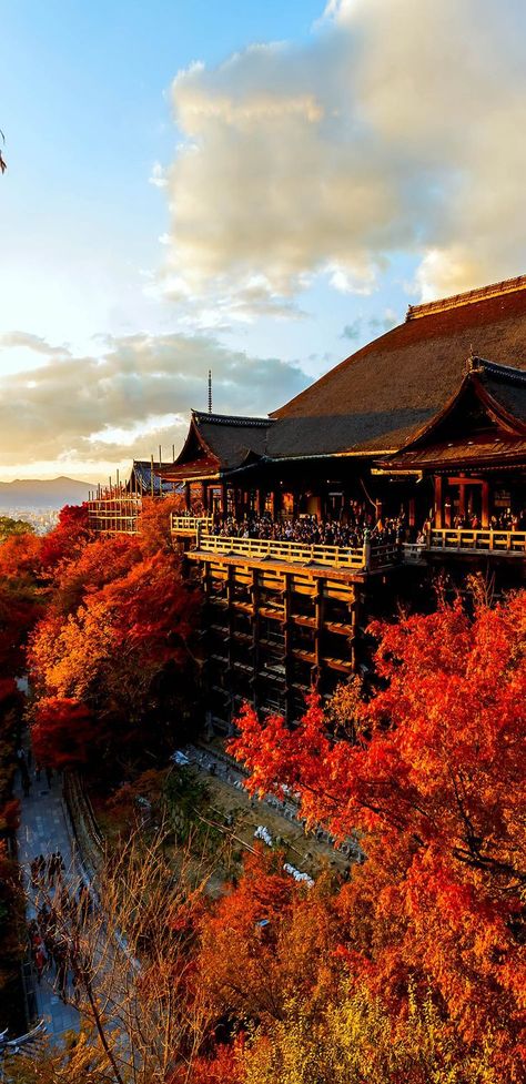 Kiyomizu temple in Kyoto in Autumn leaves season. Kiyomizu Dera, Japanese Temple, Hanoi Vietnam, Tulum Mexico, Japanese Architecture, Visit Japan, Kyoto Japan, Japanese Garden, Okinawa