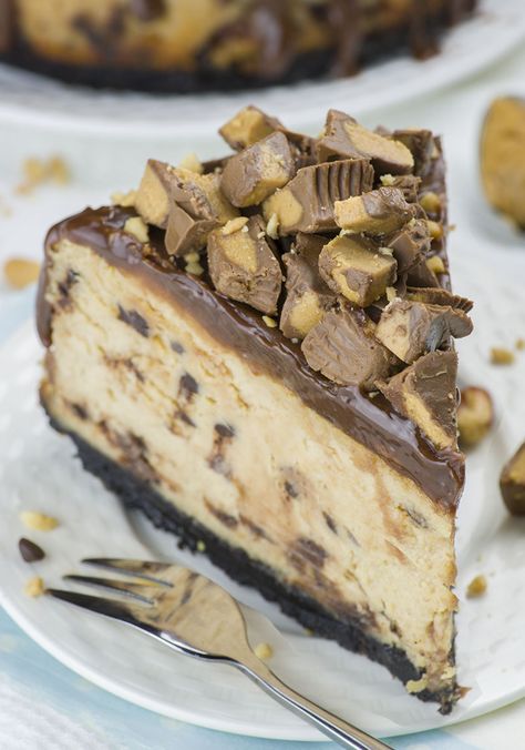 If there’s nothing you love more in the world than the combination of chocolate and peanut butter you must try this Reese's Peanut Butter Cheesecake recipe! Chocolate Cake Cheesecake, Reese's Peanut Butter Cheesecake, Peanut Butter Chocolate Cake, Butter Chocolate Cake, Peanut Butter Cheesecake Recipes, Oreo Crust Cheesecake, Biscotti Cheesecake, Cheesecake Oreo, Chocolate Peanut Butter Cheesecake