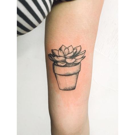 Potted succulent dot-work style tattoo on the arm Succulent Tattoo Small, Tattoos Practice, Filler Tattoos, Birthday Tattoos, Succulent Tattoo, Tattoo Diy, Sagittarius Tattoo, Rose Tattoo Sleeve, Pawprint Tattoo