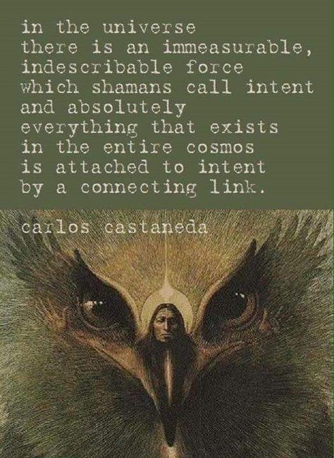 INTENT The Power Of Intention, Power Of Intention, Carlos Castaneda, Native American Wisdom, Shamanic Journey, Shamanic Healing, Medicine Woman, Don Juan, Spiritual Inspiration