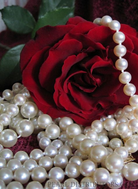 . Mother Love, Pearl Necklace Set, Pearl Jewelry Necklace, Pearl And Lace, Akoya Pearls, Tahitian Pearls, South Sea Pearls, Be My Valentine, A Rose