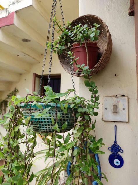 Bamboo Basket Decoration Ideas, Bamboo Basket Decoration, Basket Decoration Ideas, Onion Basket, Felt Flower Pillow, Bamboo Diy, Basket Art, Colourful Living Room Decor, Small Balcony Garden