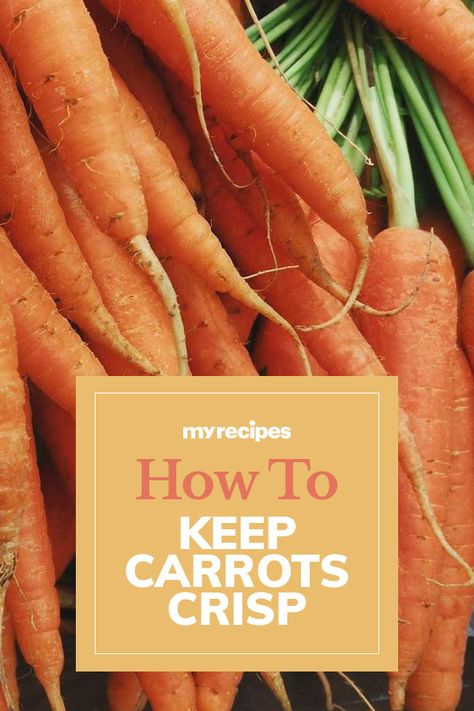 How to Store Carrots So They Don't Wilt | "Carrots are known for their crisp, crunchy texture when eaten raw, but these root vegetables can get soggy and limp if not stored them correctly. Carrots are hardy, and learning how to keep carrots fresh for a long time isn't that complicated. You can store carrots for up to a month in the fridge—if you follow a few simple guidelines." #tips #tipsandtricks #kitchenhacks #howto #carrots #foodstorage #fridgehacks #produce #freshfood #healthy #vegetables Preserving Carrots, Storing Root Vegetables, Carrot Storage, Canning Carrots, How To Store Carrots, Canned Carrots, Storing Vegetables, Raw Carrots, Homemade Condiments