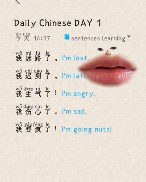 Chinese Sentences, Bahasa Mandarin, Chinese Vocabulary, Bahasa China, Chinese Language Words, Mandarin Language, Chinese Phrases, Mandarin Chinese Learning, Chinese Learning