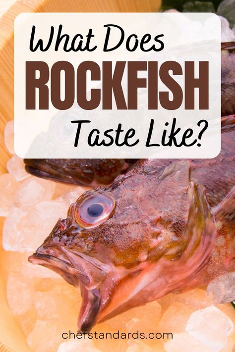 What does rockfish taste like? Get to know rockfish, its taste, texture, and aroma, as well as ways to prepare it and make it more flavorful. How To Cook Rock Fish, Fried Rockfish Recipes, Rockfish Recipes, Rock Fish, Top Chef, Chef Recipes, Fish And Seafood, Fish Recipes, Meal Time