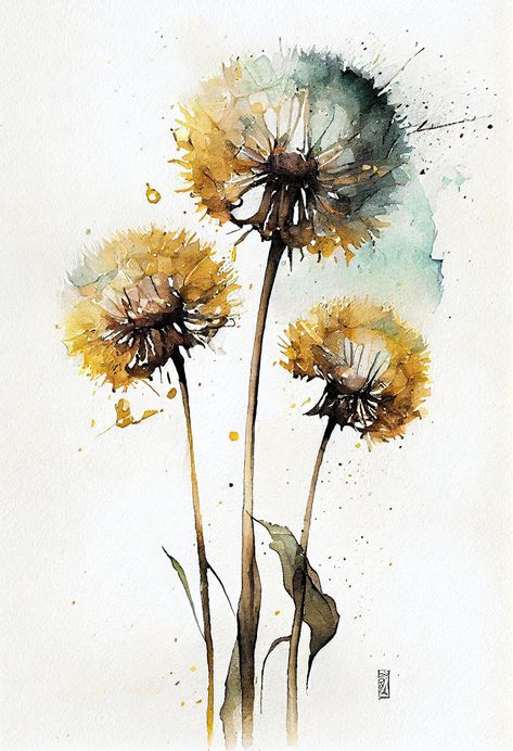 Premium Photo | Dandelions watercolor Dandelion Botanical Illustration, Wildflowers Illustration, Dandelion Pictures, Watercolor Wild Flowers, Wildflowers Watercolor, Dandelion Painting, Ear Tattoo Ideas, Dandelion Art, Watercolor Wildflowers