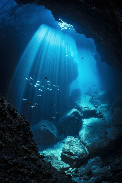 Underwater Cavern, Sun Beams, Sea Of Cortez, Under The Water, Image Nature, Baja California Sur, Pretty Landscapes, Ocean Vibes, Cowboy Bebop