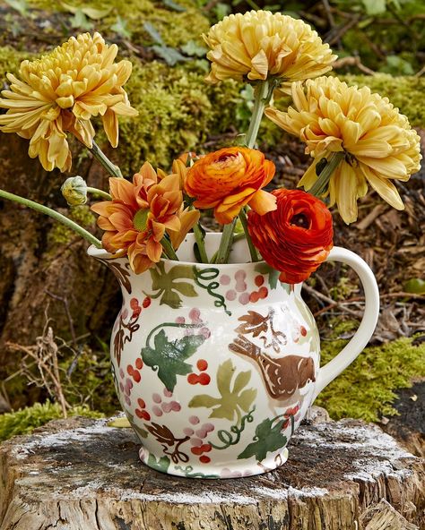 Emma Bridgewater's autumn collection Colorful Kitchen Accessories, Owl Plate, Pottery Jugs, Colourful Kitchen, Emma Bridgewater Pottery, Star Bowl, Earthenware Pottery, Pottery Gifts, Game Birds