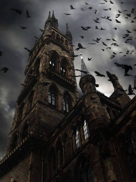 Raven Spires, Glasgow (Scotland) Haunted Images, Common Loon, رعب نفسي, 다크 판타지, Bloodborne, Glasgow Scotland, Haunted Places, Gothic Architecture, Dark Beauty