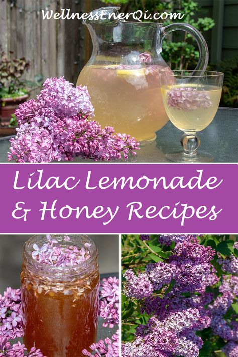 Lilac Lemonade Lilac Honey Recipe, Lilac Lemonade Recipe, Lilac Recipes Edible Flowers, Lilac Uses, Lilac Recipes, Lilac Lemonade, Lavender Lemonade Recipe, Soul People, Cottagecore Recipes