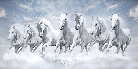 Running Wallpaper, Seven Horses Painting, 7 Horses, White Horse Painting, Running Images, Horse Background, Horse Water, Horse Wall Art Canvases, Painted Horses