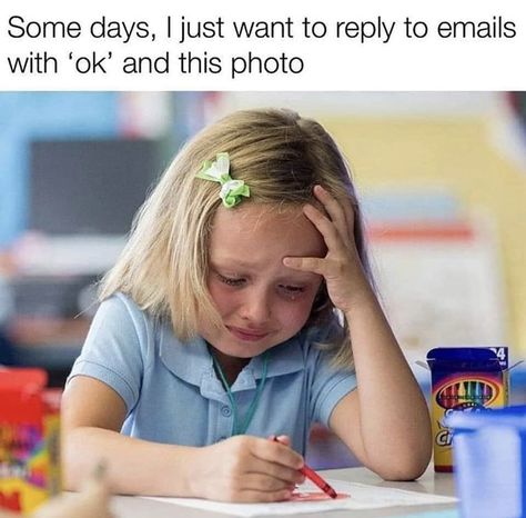 69 Damn Fine Memes and Pics to Make You Laugh - Funny Gallery Emma Woodhouse, Great Memes, Sarcasm Only, Friend Memes, Memes Br, Memes Humor, Humor Memes, Anime Memes Funny, Top Funny